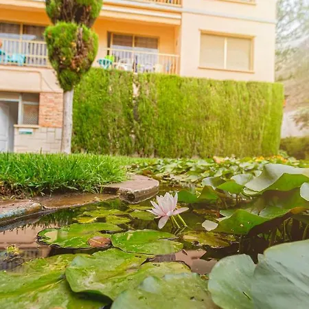 El Oasis *