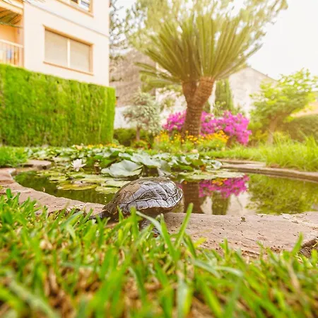 Apartamento El Oasis
